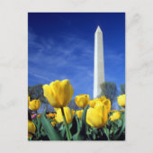 Monuments | Washington Monument in Spring ポストカード (正面)
