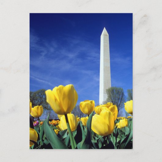 Monuments | Washington Monument in Spring ポストカード (正面)