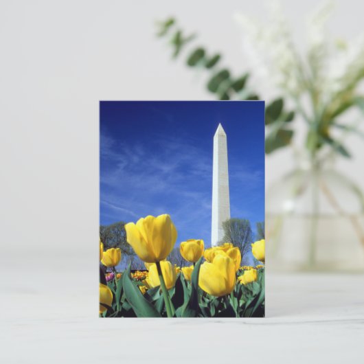 Monuments | Washington Monument in Spring ポストカード (スタンド正面)