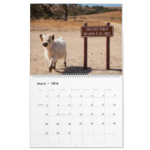 Moochi小型牛2018カレンダー カレンダー (3月 2026)