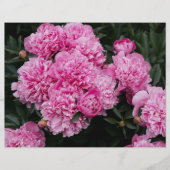 Moody and elegant pink peony  Scrapbook Paper (正面)