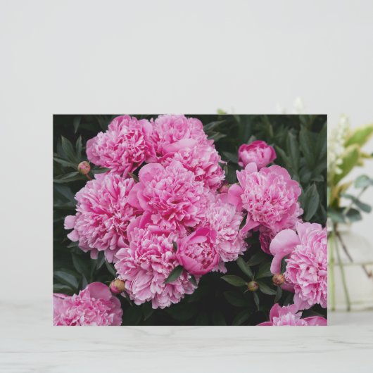 Moody and elegant pink peony  Scrapbook Paper (スタンド正面)