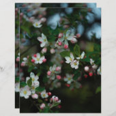 Moody apple tree blooms Scrapbook Paper (正面/裏面)