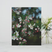 Moody apple tree blooms Scrapbook Paper (light) (スタンド正面)
