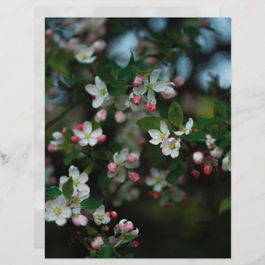 Moody apple tree blooms Scrapbook Paper (light) (正面/裏面)