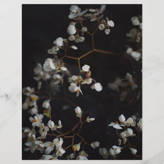 Moody Dark Floral Elegant Scrapbook Paper (正面)