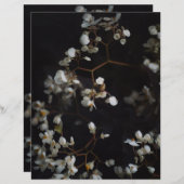 Moody Dark Floral Elegant Scrapbook Paper (正面/裏面)