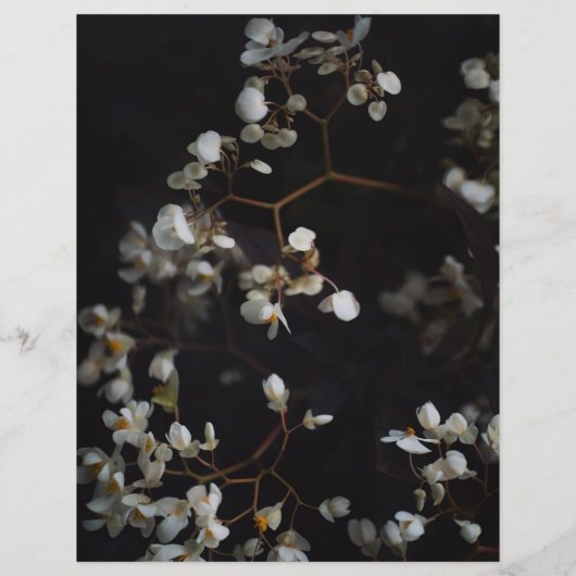 Moody Dark Floral Elegant Scrapbook Paper (裏面)