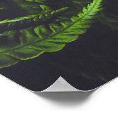 Moody Dark Green Fern Leaves Botanical Nature ポスター (角)
