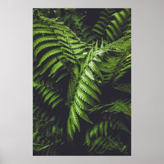 Moody Dark Green Fern Leaves Botanical Nature ポスター (正面)