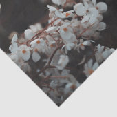 Moody Floral  薄葉紙 (詳細)