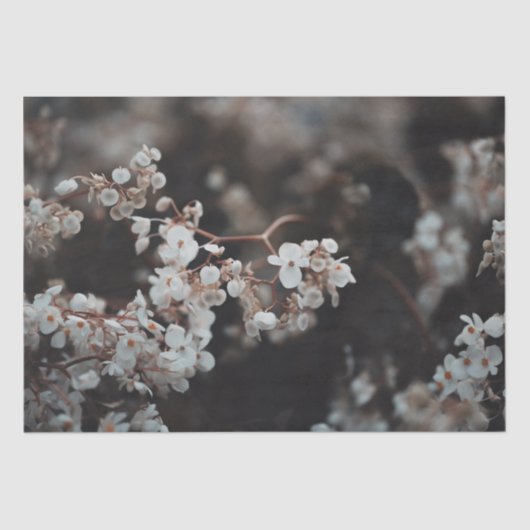 Moody Floral  薄葉紙 (正面)