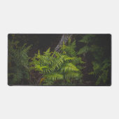 Moody green forest scene with ferns デスクマット (正面)