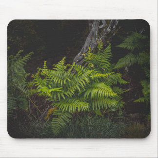 Moody green nature theme with ferns マウスパッド