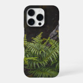 Moody green nature theme with ferns iPhoneケース (裏面)