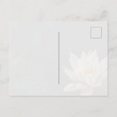 Moody Lily Pad Pond Nature ポストカード (裏面)