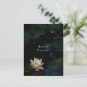 Moody Lily Pad Pond Nature ポストカード (スタンド正面)