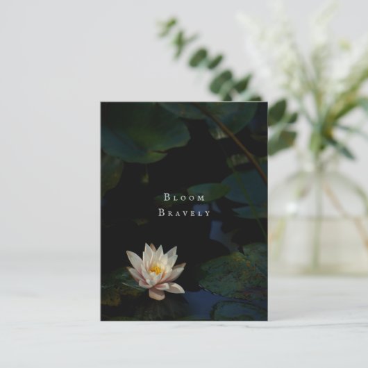 Moody Lily Pad Pond Nature ポストカード (スタンド正面)