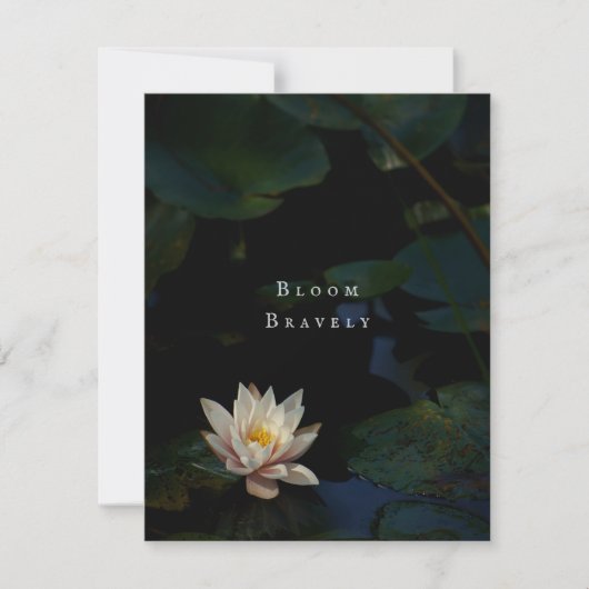 Moody Lily Pad Pond Nature Greeting Card (正面)