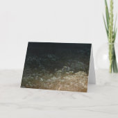 Moody meadow カード (正面)