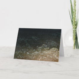 Moody meadow カード