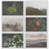 Moody Nature aesthetic, Photography Sticker Sheet シール (正面)
