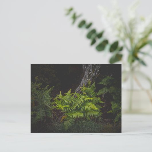 Moody nature with forest ferns ポストカード (スタンド正面)