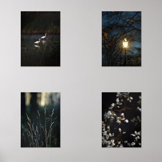 Moody Romantic Nature Wall Art Set of Four Posters (正面)