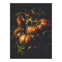 Moody Rustic Tomatoes Vintage Farmhouse Kitchen
