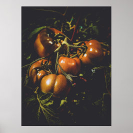 Moody Rustic Tomatoes Vintage Farmhouse Kitchen ポスター