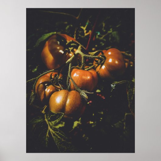 Moody Rustic Tomatoes Vintage Farmhouse Kitchen ポスター (正面)