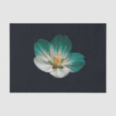 Moody Teal Emerald Macro Sakura Bloom 薄葉紙 (正面)