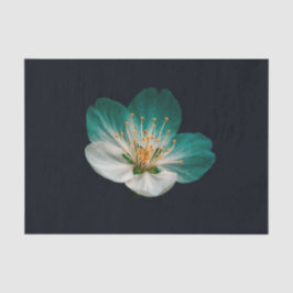 Moody Teal Emerald Macro Sakura Bloom 薄葉紙