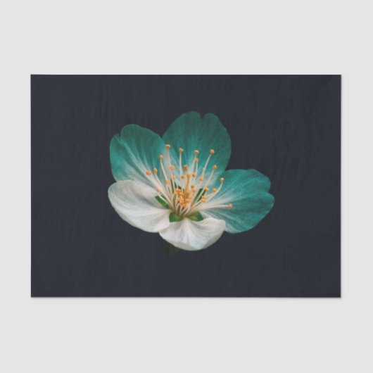 Moody Teal Emerald Macro Sakura Bloom 薄葉紙 (正面)