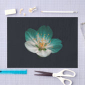 Moody Teal Emerald Macro Sakura Bloom 薄葉紙 (クラフト)