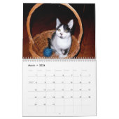 Mooki及びKiko カレンダー (3月 2026)