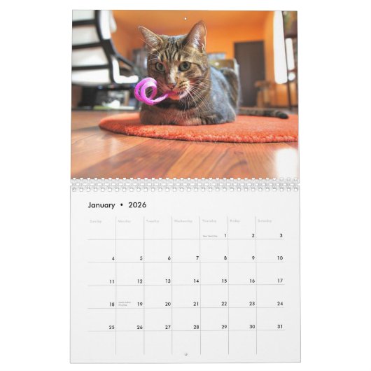 Mooki及びKiko 2010年 カレンダー (1月 2026)