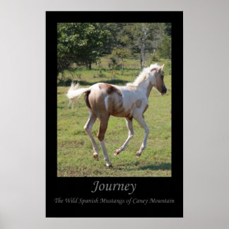 "Moon Dancer"のポスター – Journey ポスター