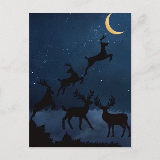 Moon deer  ポストカード (正面)