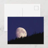 Moon & Forest | グレイシャー国立公園 モンタナ州 ポストカード (正面/裏面)