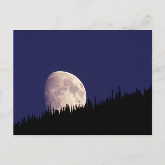 Moon & Forest | グレイシャー国立公園 モンタナ州 ポストカード (正面)