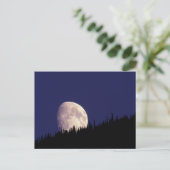 Moon & Forest | グレイシャー国立公園 モンタナ州 ポストカード (スタンド正面)