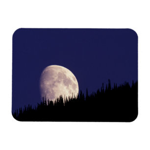 Moon & Forest グレイシャー国立公園 モンタナ州 マグネット
