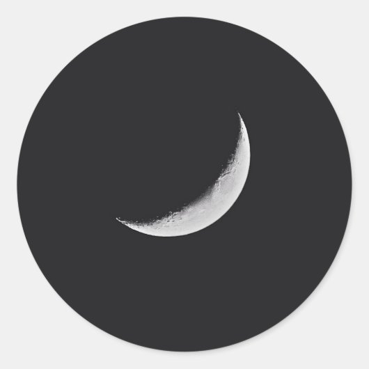 moon.jpg ラウンドシール (正面)
