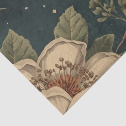 Moon Moth Botanicals Apothecary 薄葉紙 (詳細)