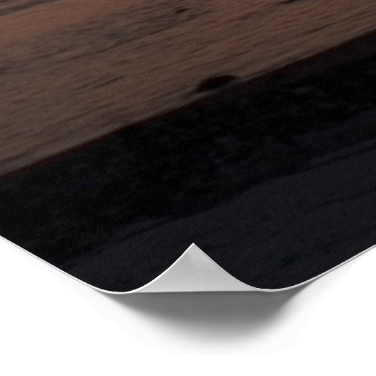 MOON PALM ポスター (角)