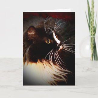 Moonbeam -カスタムなメッセージカード カード