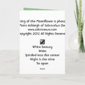 Moonflowerの朝 カード (裏面)