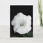 MoonFlower カード (正面)