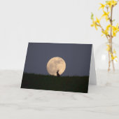 Moongazer.JPG カード (黄色い花)